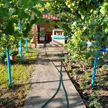 فندق Casa Anhela كوربو المظهر الخارجي الصورة