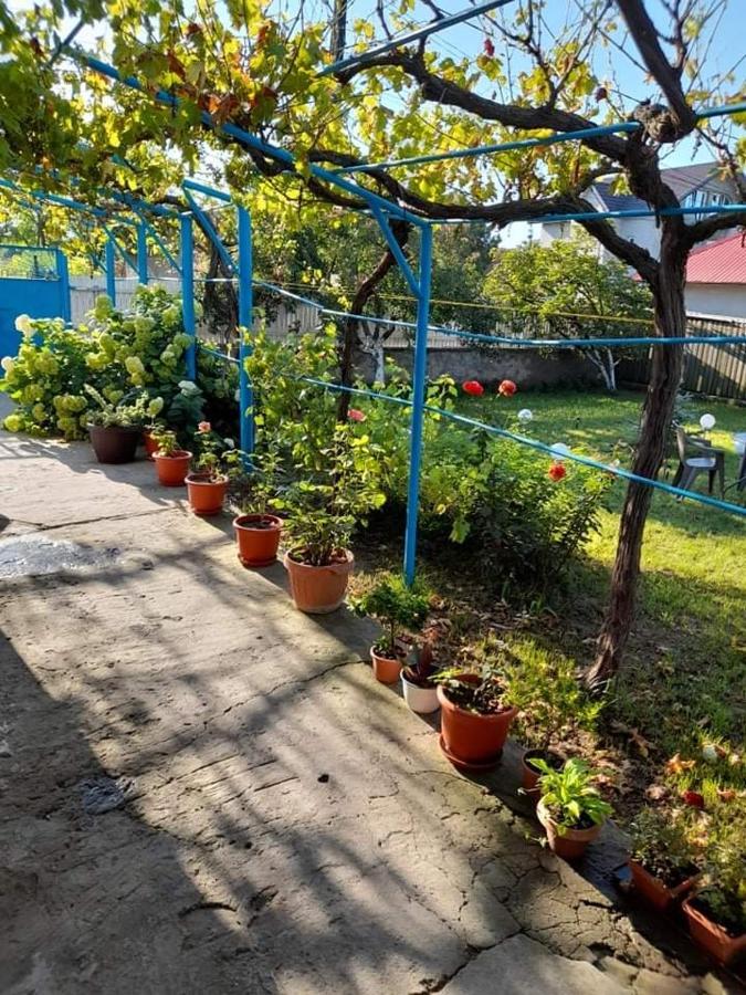 فندق Casa Anhela كوربو المظهر الخارجي الصورة