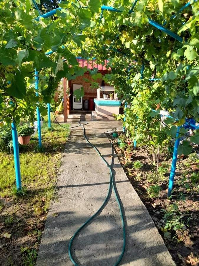 فندق Casa Anhela كوربو المظهر الخارجي الصورة