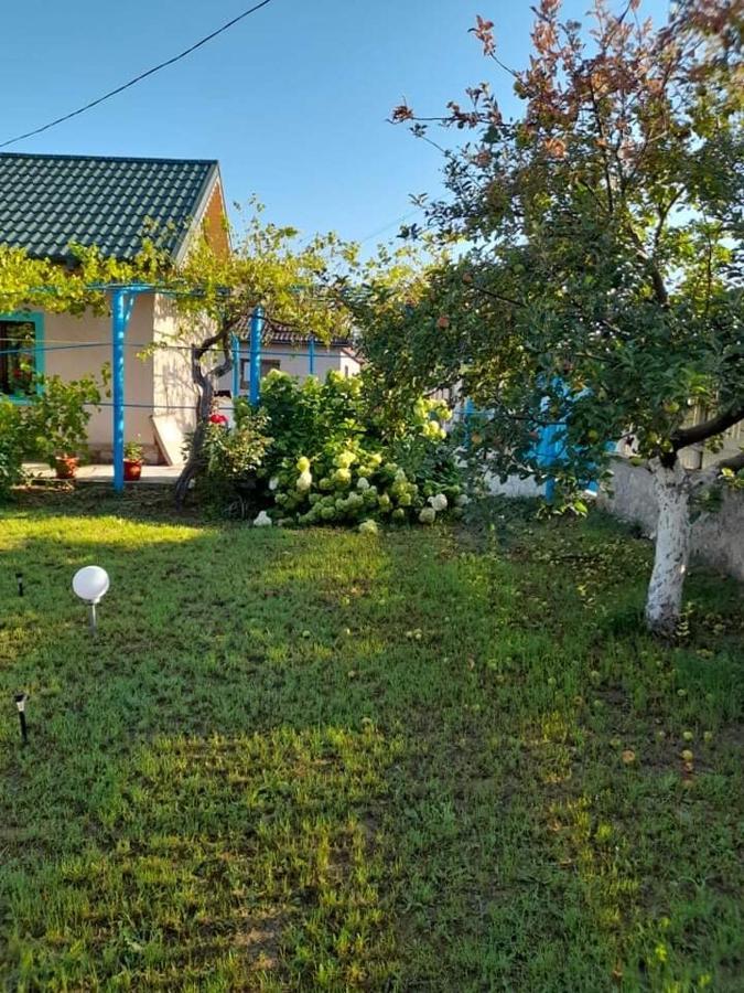 فندق Casa Anhela كوربو المظهر الخارجي الصورة